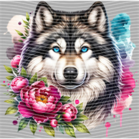 Animal Integration-DW 767